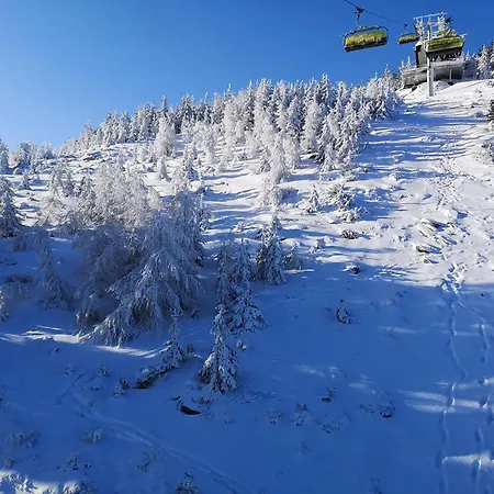 Stronski شقة Stronie Śląskie