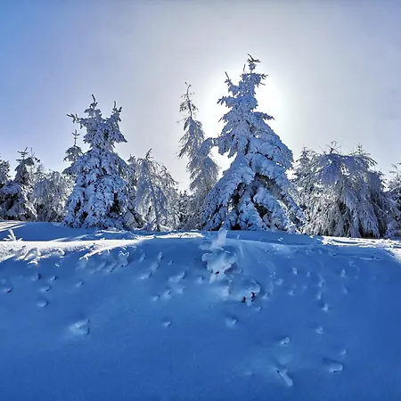Apartmán Stronski Stronie Śląskie
