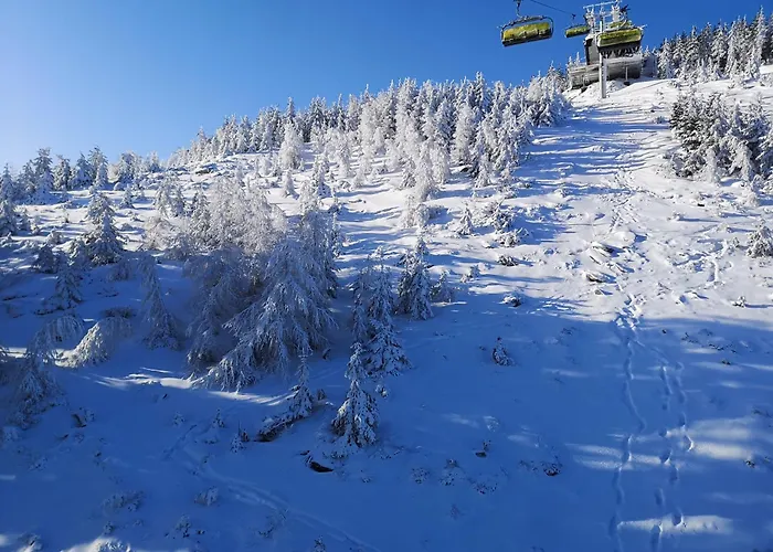 Stronski شقة Stronie Śląskie