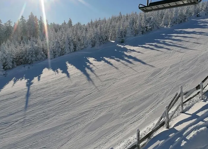 Stronski Apartmán Stronie Śląskie