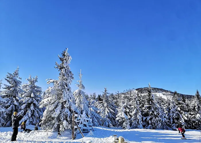 Apartmán Stronski *